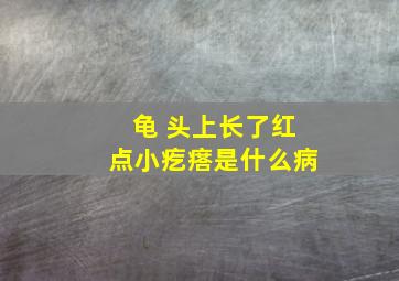 龟 头上长了红点小疙瘩是什么病